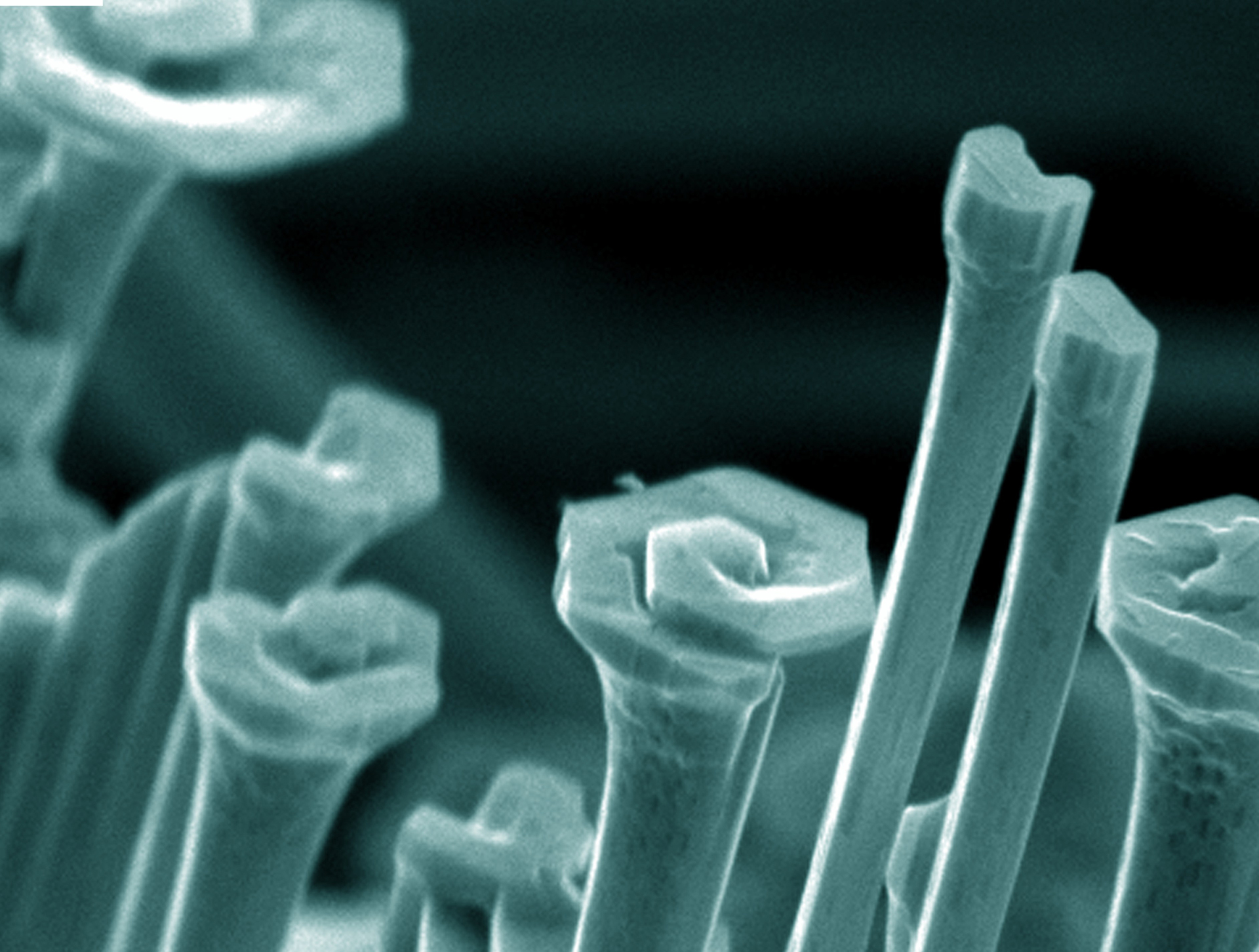 2D Graphene / Nanomaterials